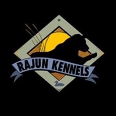 Rajun Kennels dog training logo